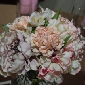 Meet your Posher, Denise